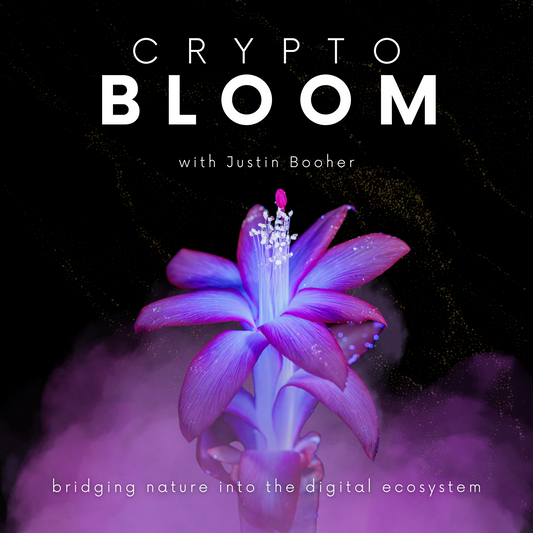 Crypto Bloom ~ VIRTUAL